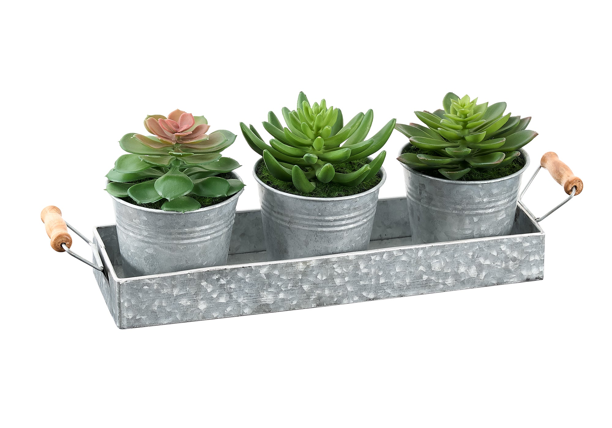 PLANTE ARTIFICIELLE - 3MCX / 6"H SUCCULENTE POT FER / METAL – I 9372