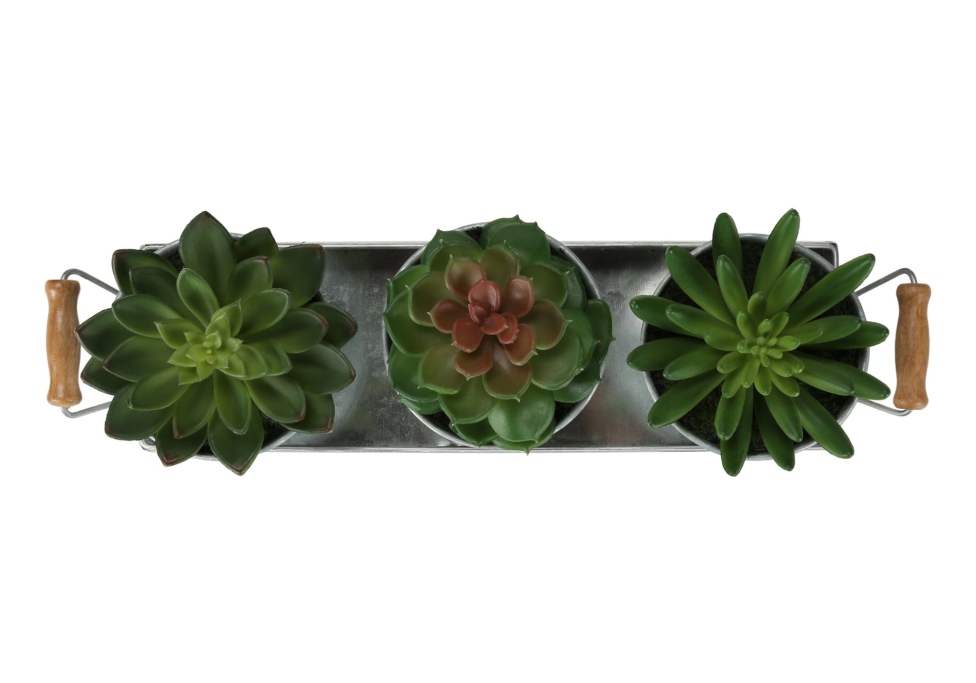PLANTE ARTIFICIELLE - 3MCX / 6"H SUCCULENTE POT FER / METAL – I 9372