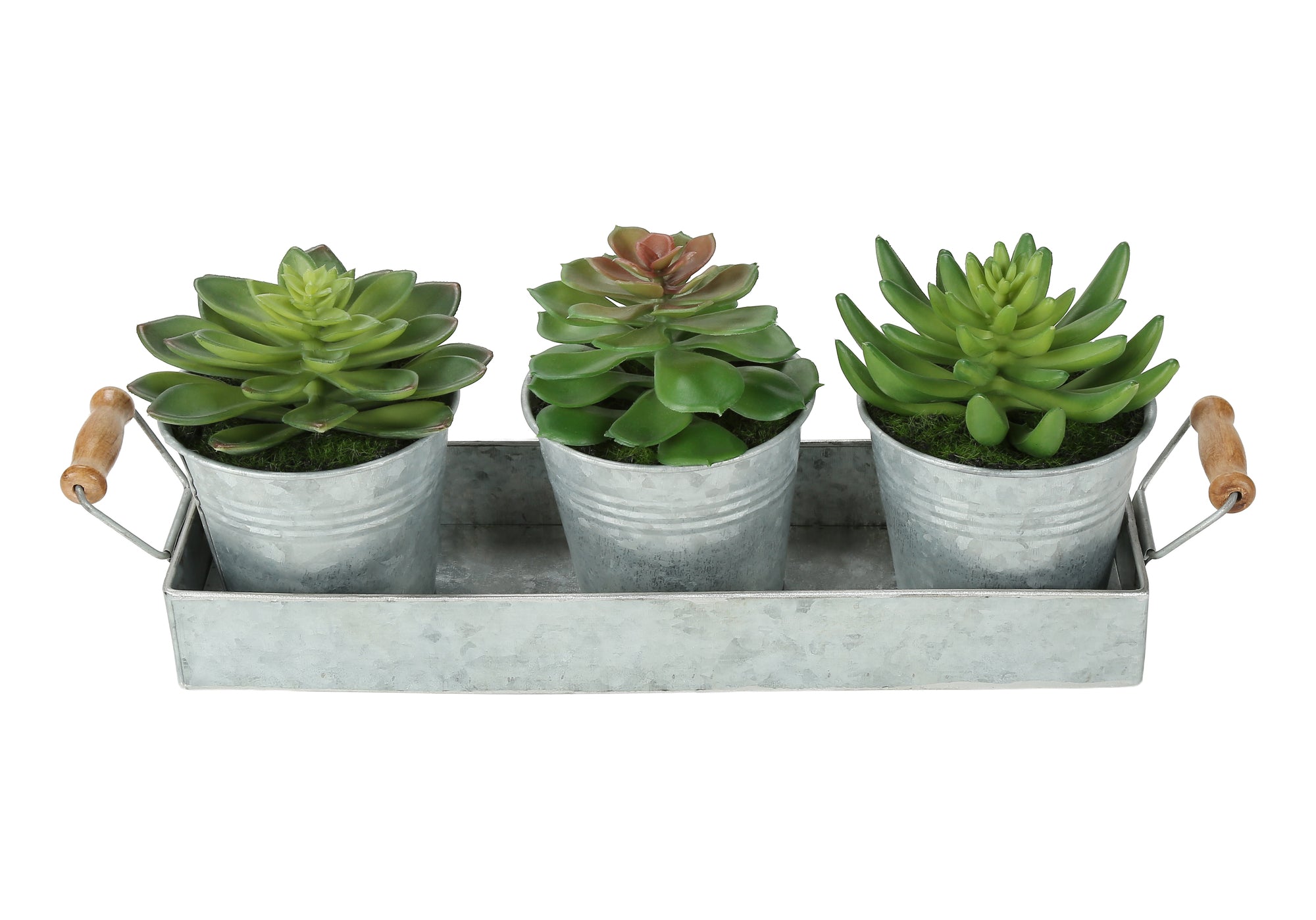 PLANTE ARTIFICIELLE - 3MCX / 6"H SUCCULENTE POT FER / METAL – I 9372