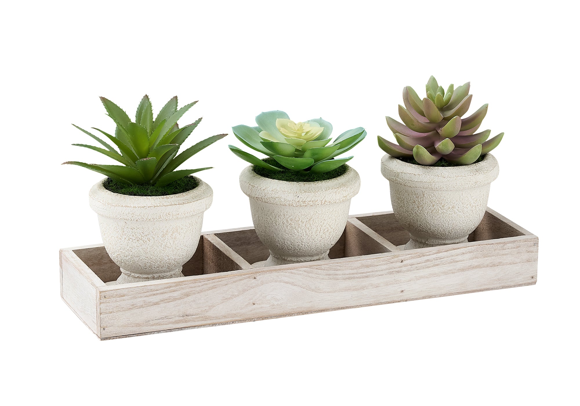 PLANTE ARTIFICIELLE - 3MCX / 6"H SUCCULENTE POT BEIGE / BOIS – I 9373