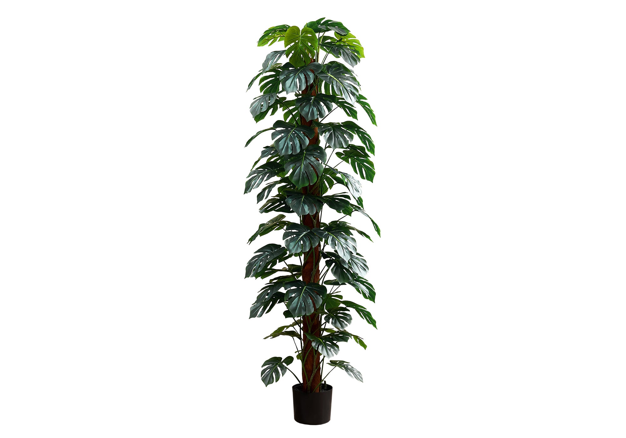 PLANTE ARTIFICIELLE - 83"H / MONSTERA INTERIEUR POT 8" – I 9521