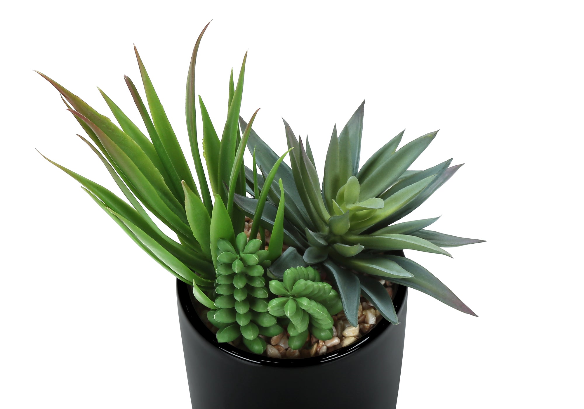 PLANTE ARTIFICIELLE - 2MCX / 7"H SUCCULENT POT 3" NOIR – I 9554