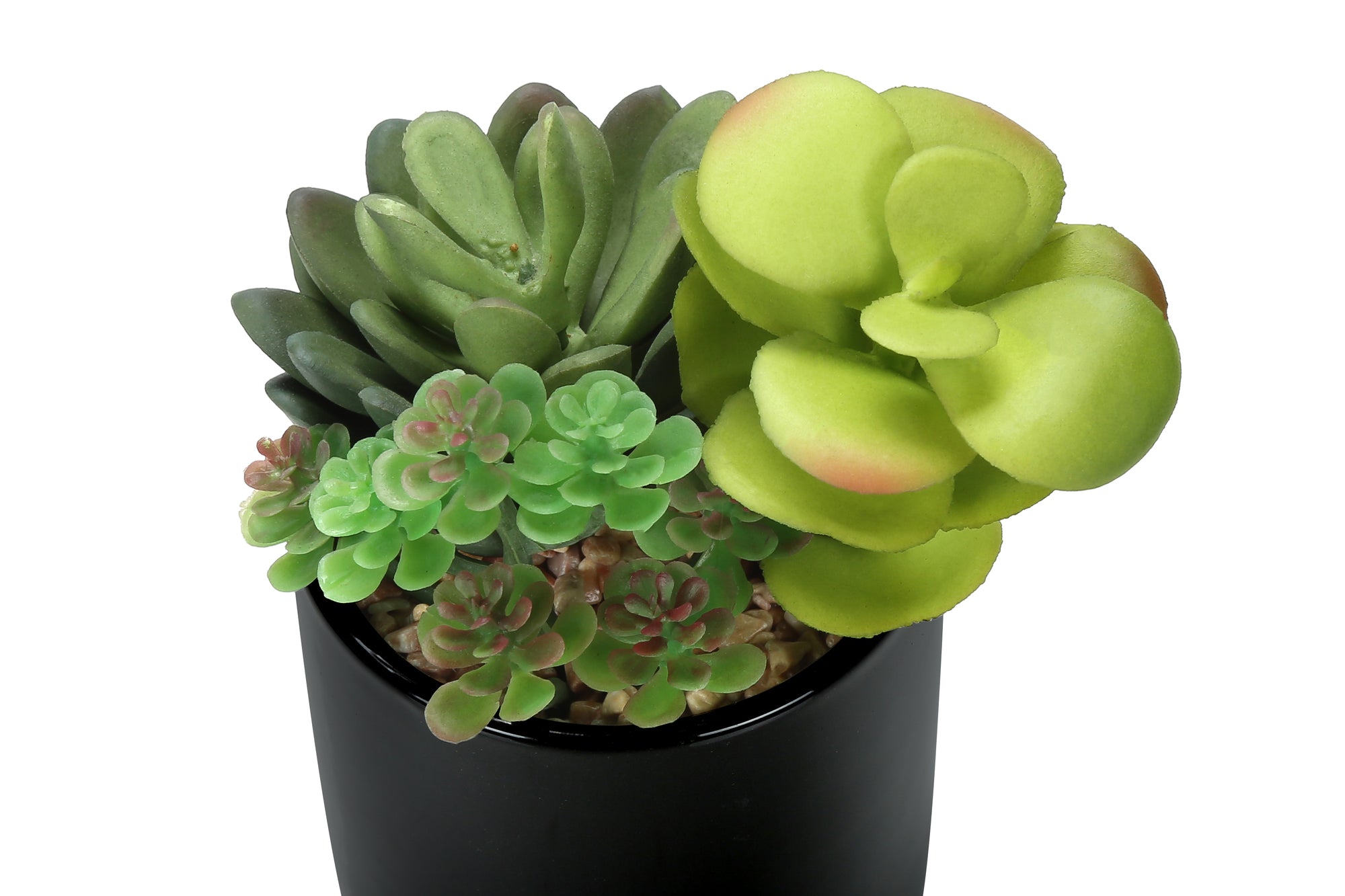 PLANTE ARTIFICIELLE - 2MCX / 7"H SUCCULENT POT 3" NOIR – I 9554