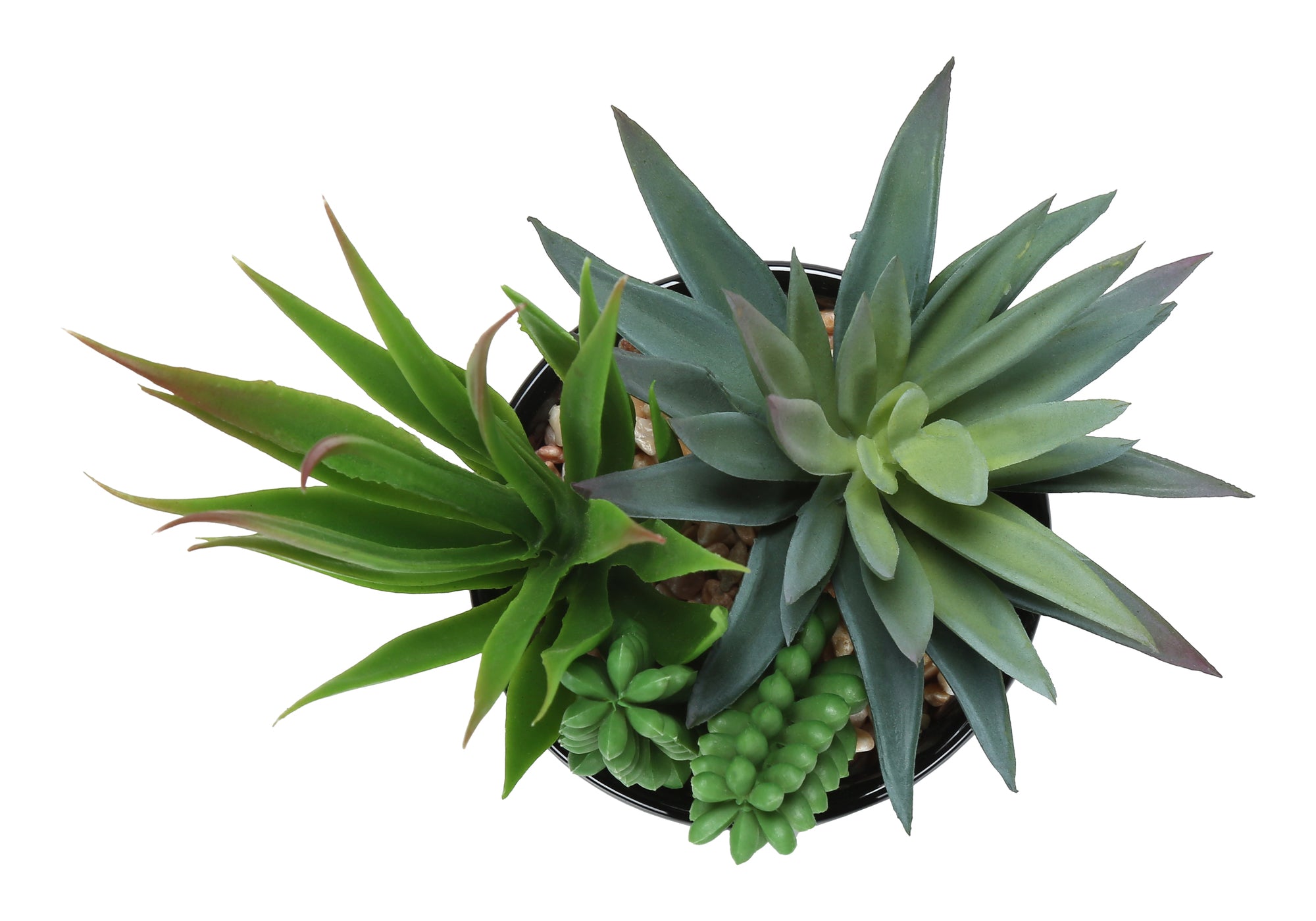 PLANTE ARTIFICIELLE - 2MCX / 7"H SUCCULENT POT 3" NOIR – I 9554