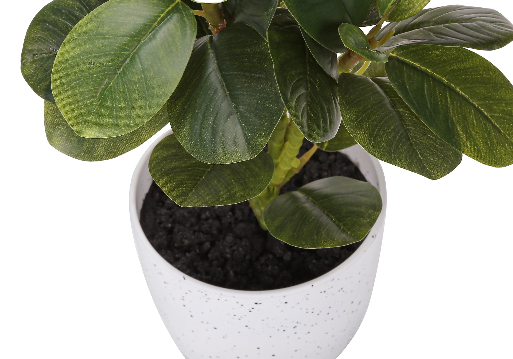 PLANTE ARTIFICIELLE - 2MCX / 14"H FICUS ELASTICA POT 4" – I 9557