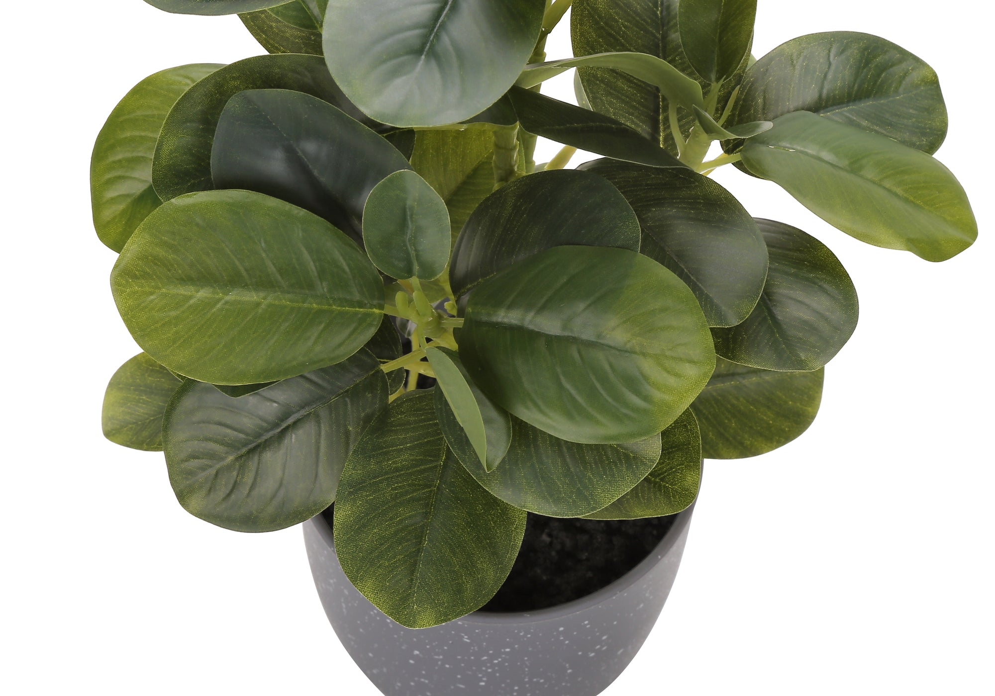 PLANTE ARTIFICIELLE - 2MCX / 14"H FICUS ELASTICA POT 4" – I 9558