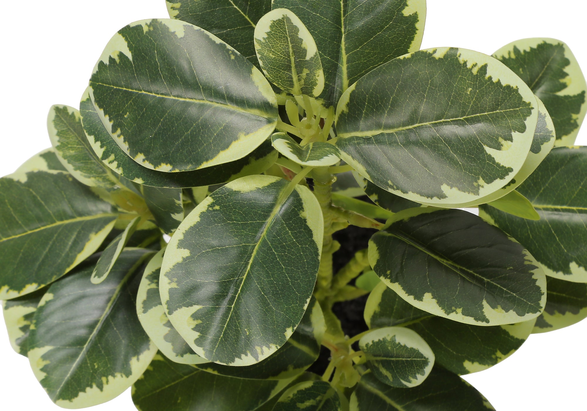 PLANTE ARTIFICIELLE - 2MCX / 14"H FICUS ELASTICA POT 4" – I 9558