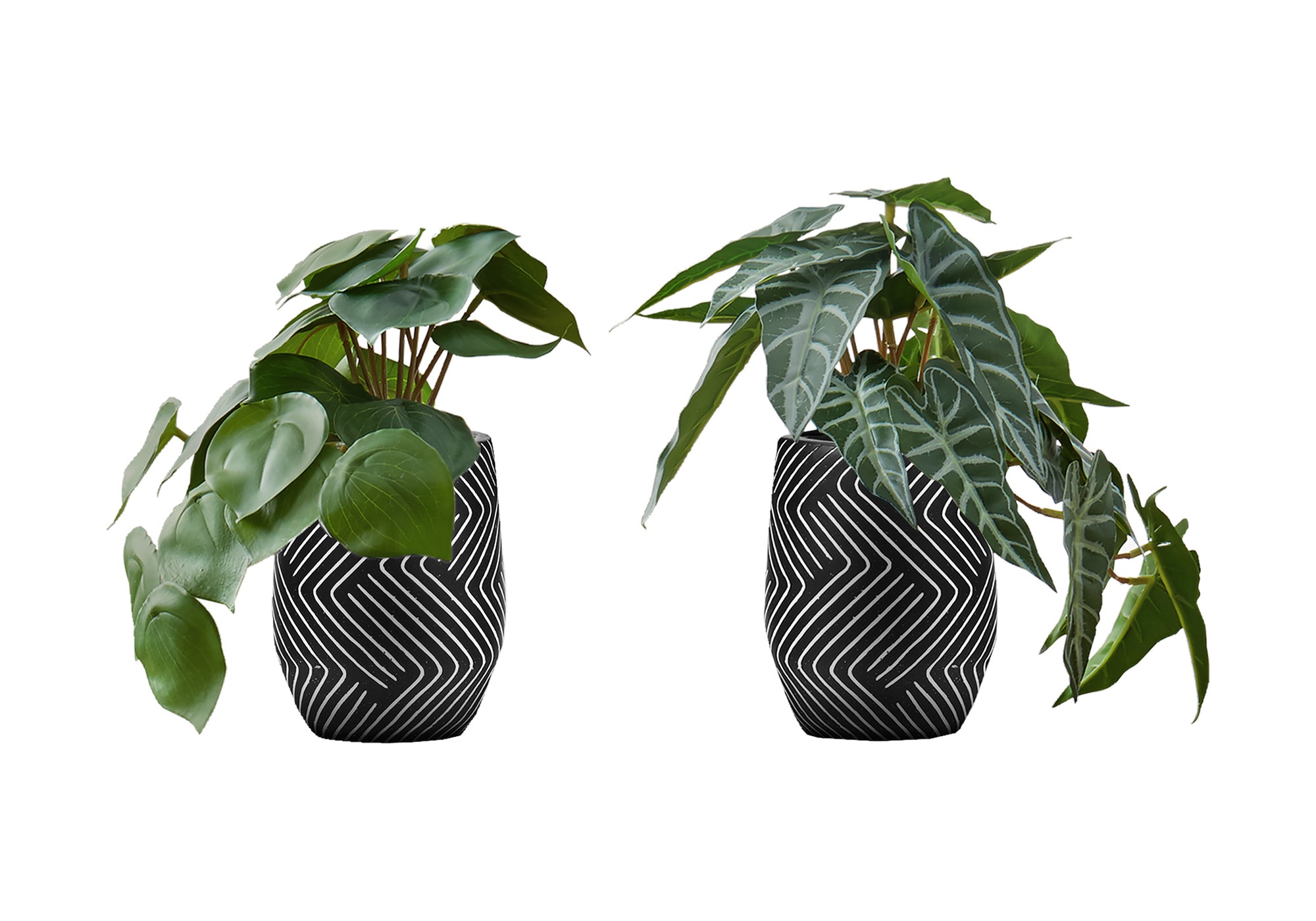 PLANTE ARTIFICIELLE - 2MCX / 8"H ALOCASIA POT CIMENT NOIR – I 9559