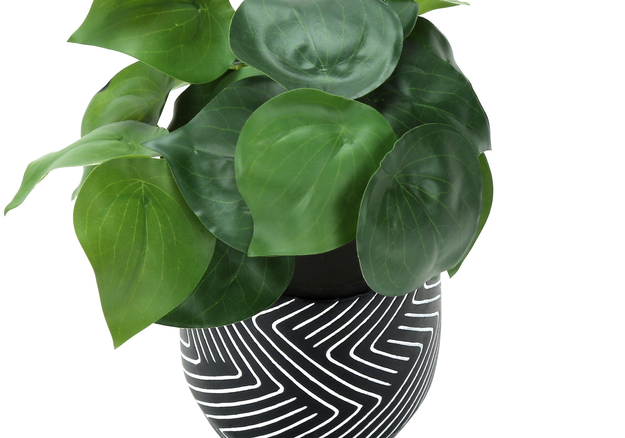 PLANTE ARTIFICIELLE - 2MCX / 8"H ALOCASIA POT CIMENT NOIR – I 9559