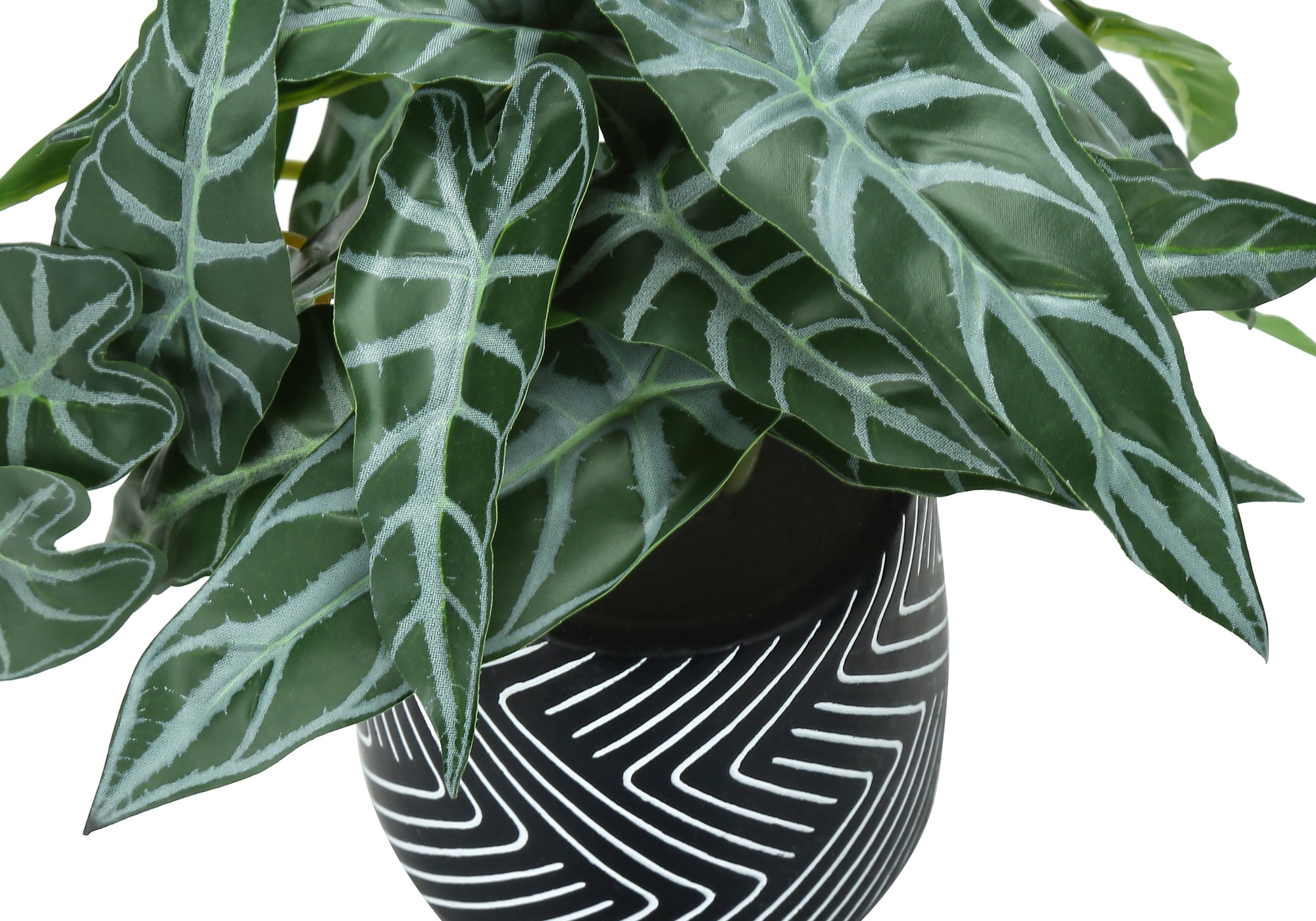 PLANTE ARTIFICIELLE - 2MCX / 8"H ALOCASIA POT CIMENT NOIR – I 9559