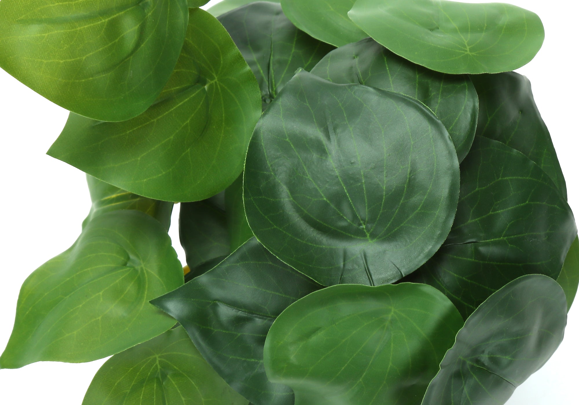 PLANTE ARTIFICIELLE - 2MCX / 8"H ALOCASIA POT CIMENT NOIR – I 9559