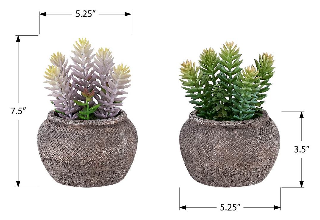 PLANTE ARTIFICIELLE - 2MCX / 8"H SUCCULENT POT CIMENT 6" – I 9364