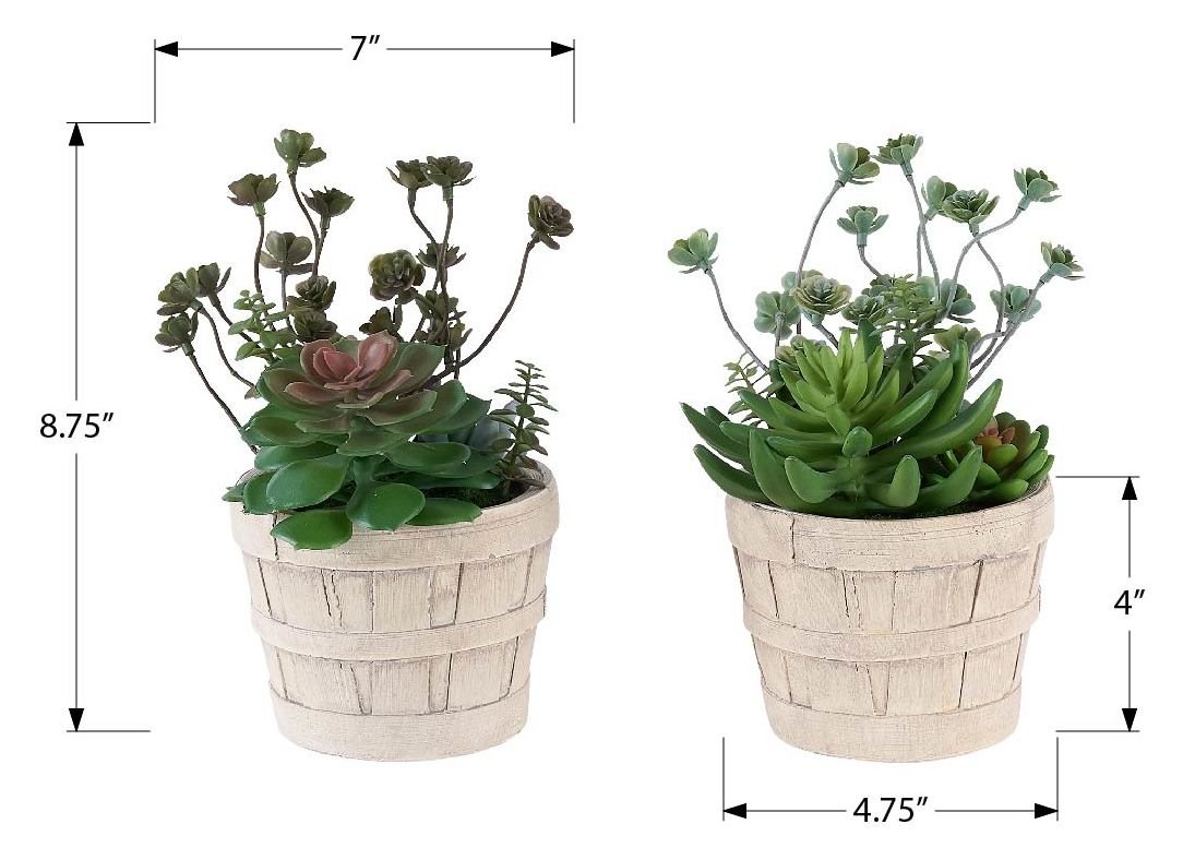 PLANTE ARTIFICIELLE - 2MCX / 9"H SUCCULENT POT CIMENT 5" – I 9365