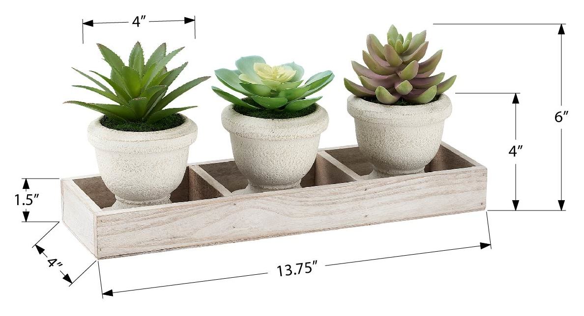 PLANTE ARTIFICIELLE - 3MCX / 6"H SUCCULENTE POT BEIGE / BOIS – I 9373