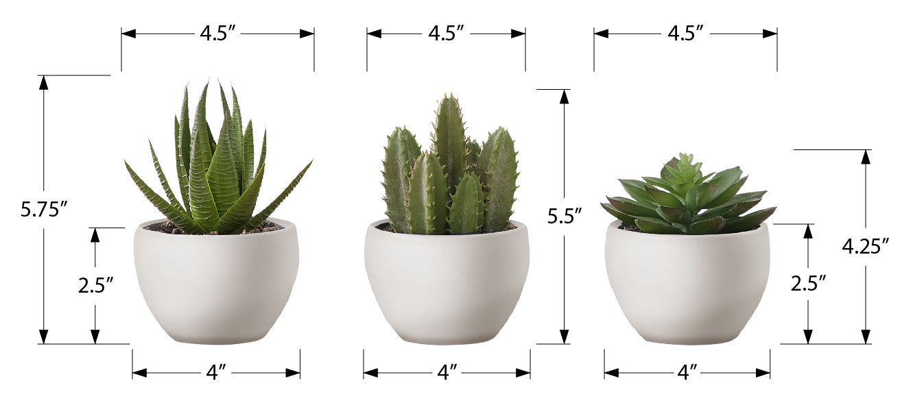 PLANTE ARTIFICIELLE - 3MCX / 6"H SUCCULENT POT BLANC 3" – I 9555