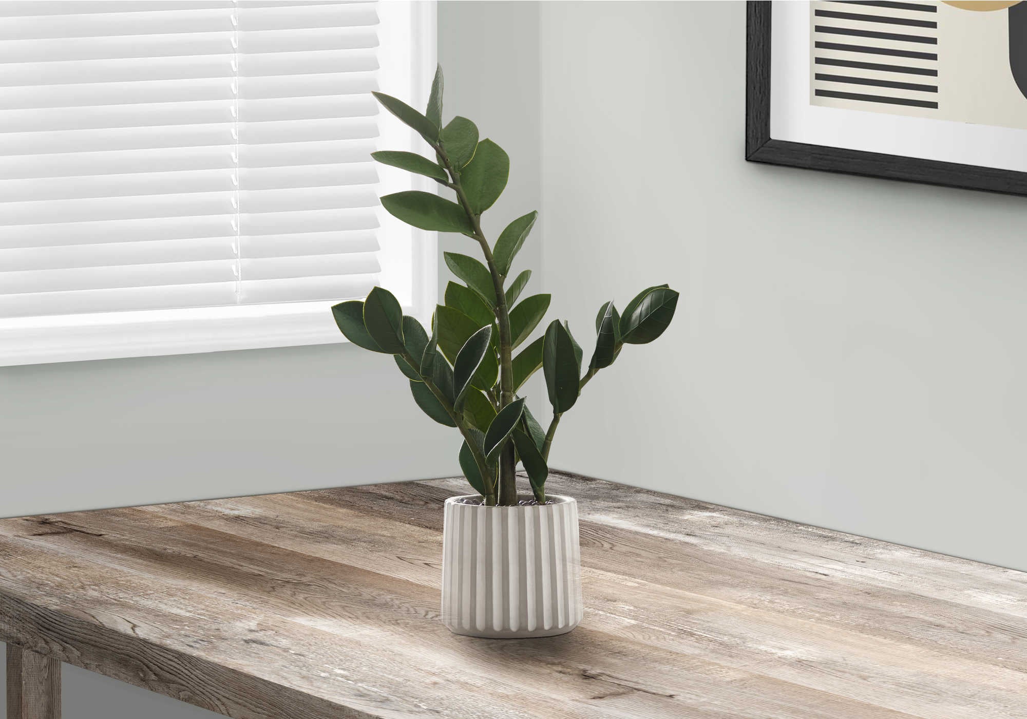 Image of artificial plant - 20h  indoor zz in a 5 cement pot i 9500.