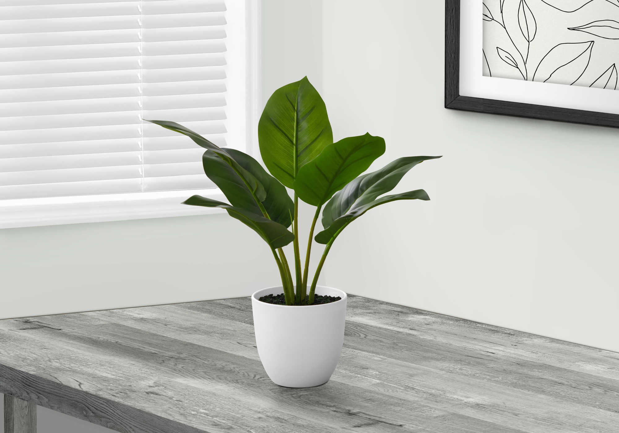 Image of artificial plant - 17h  indoor aureum in a 5 pot i 9502.