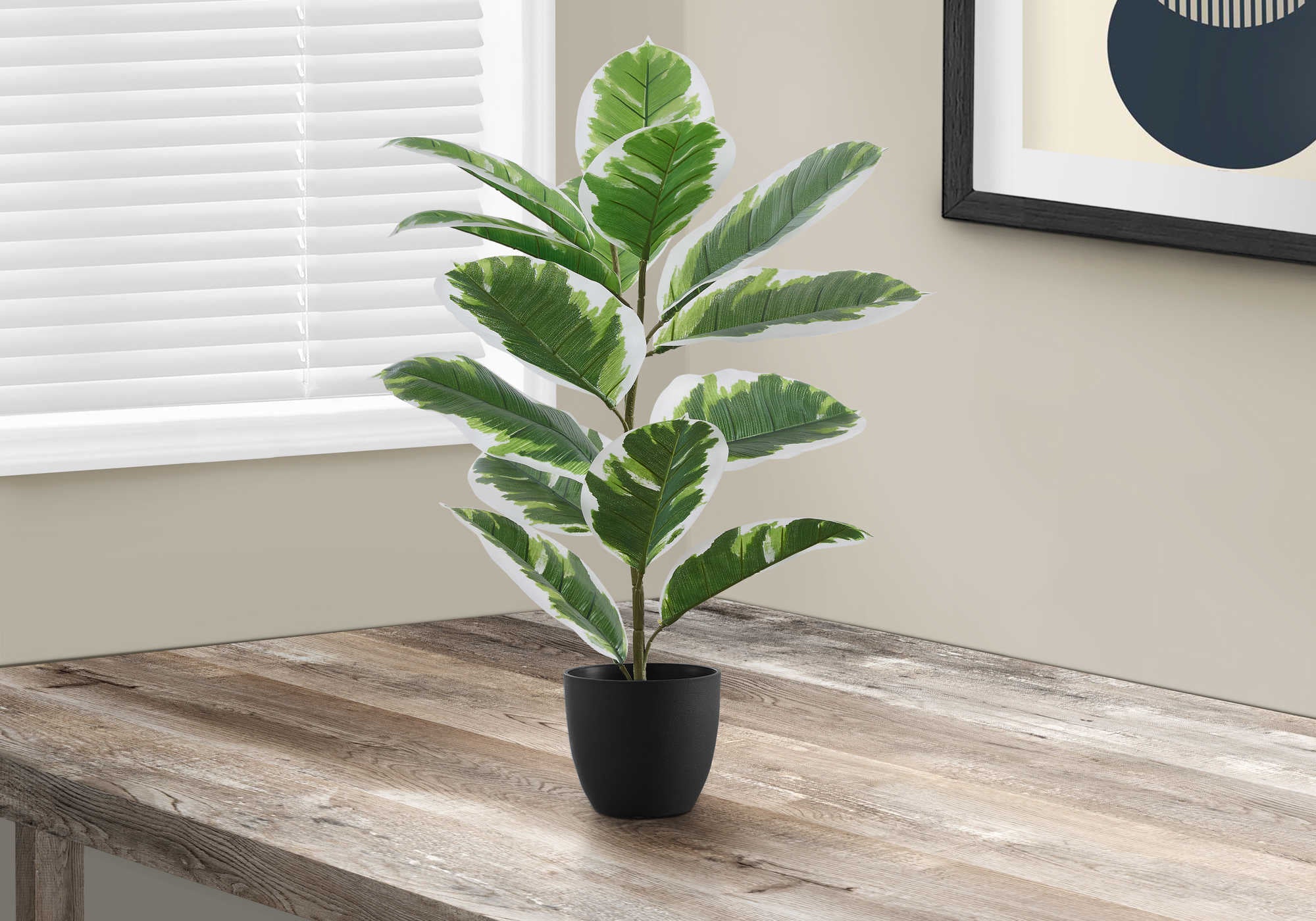 Image of artificial plant - 27h  indoor rubber in a 5 pot i 9572.