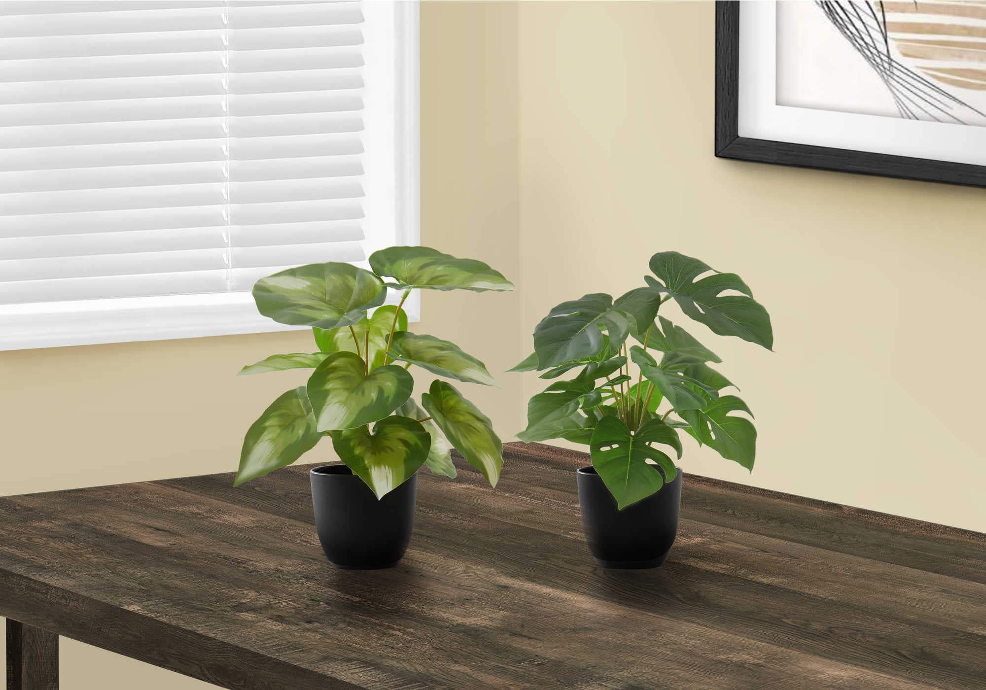 Image of artificial plant - 2pcs  13h monsteracalathea 4 pot i 9584.