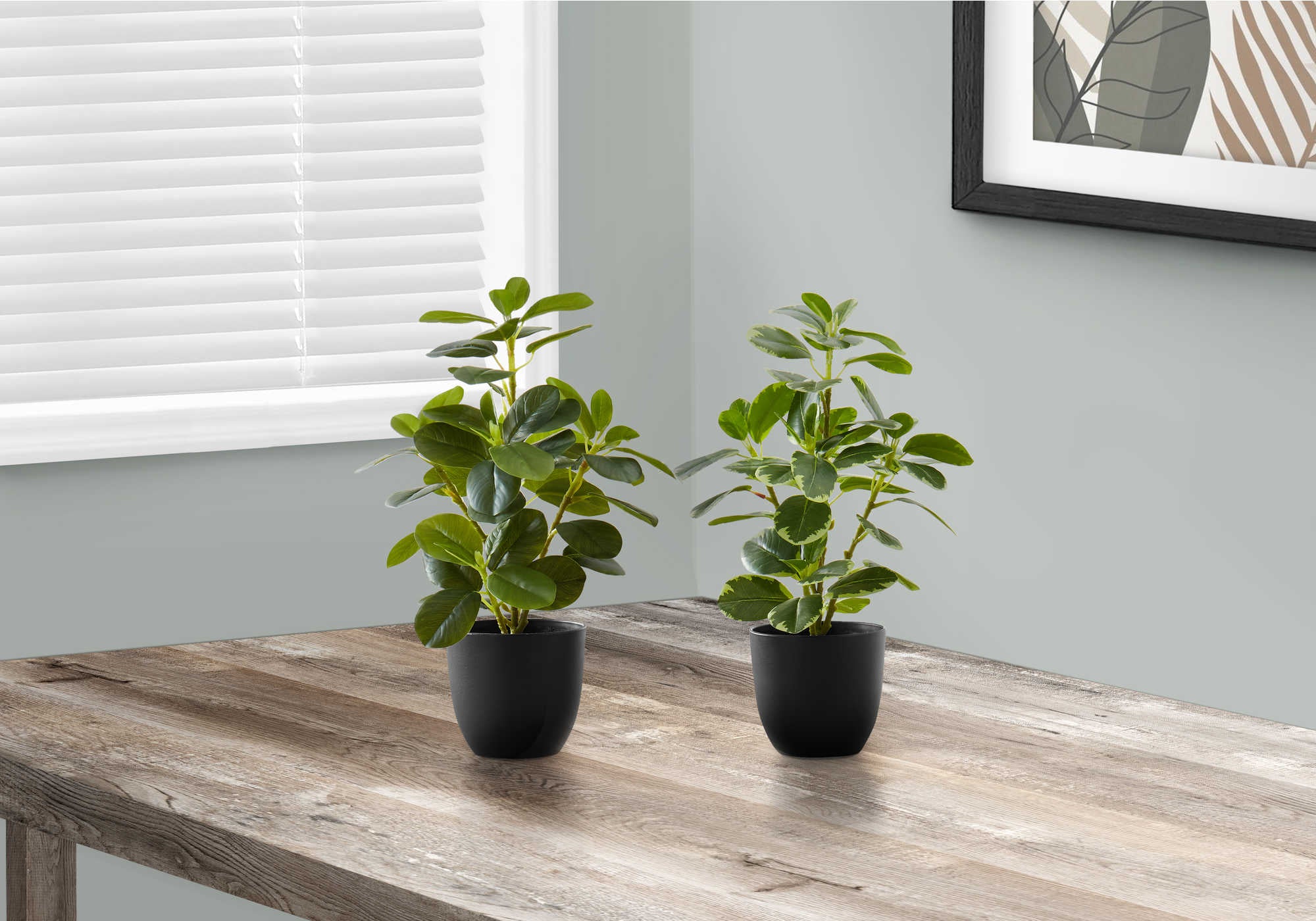 Image of artificial plant - 2pcs  14h ficus elastica in 4 pot i 9585.