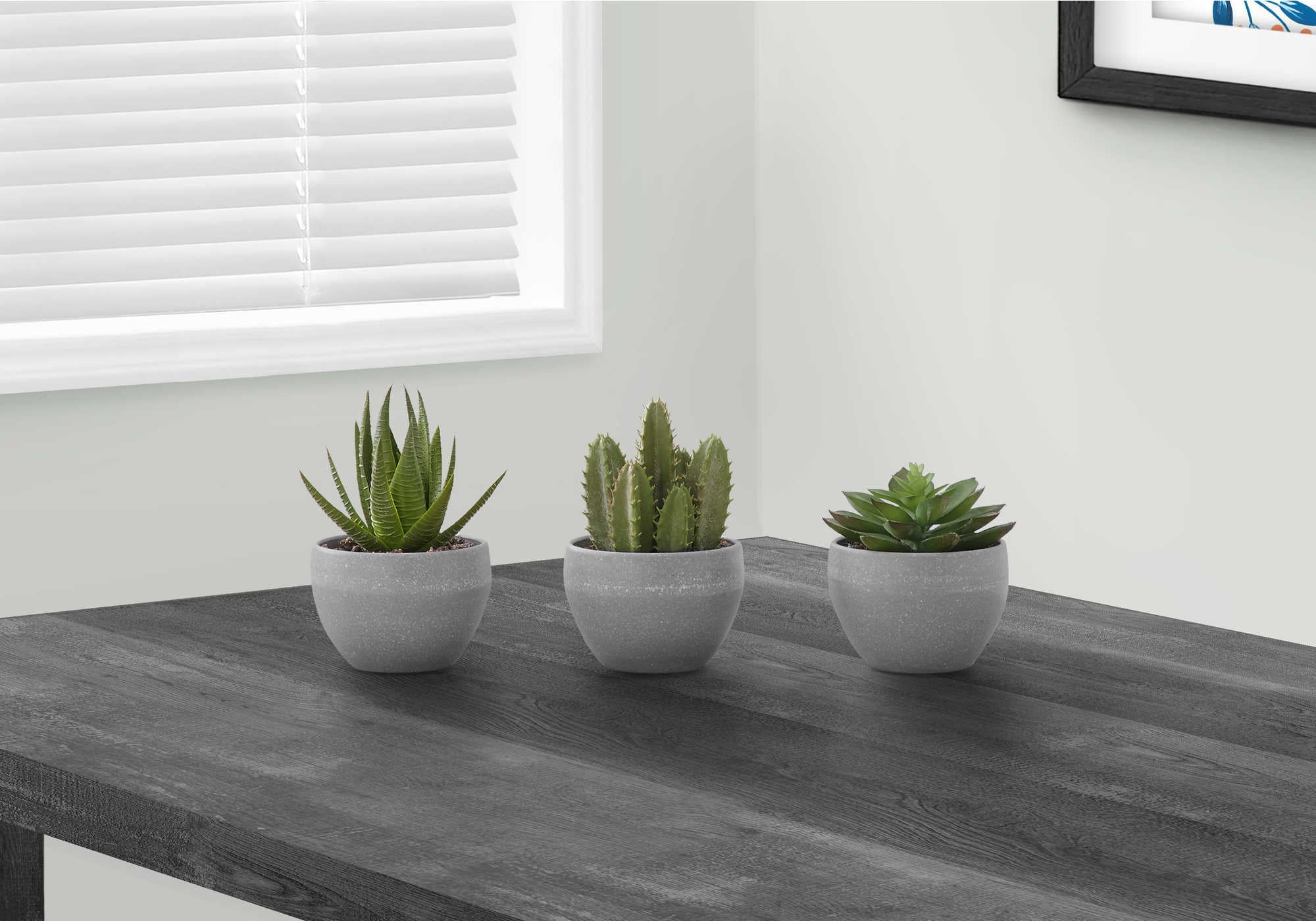 Image of artificial plant - 3pcs  6h succulent in a 3 grey pot i 9587.